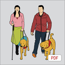 시각장애 PDF